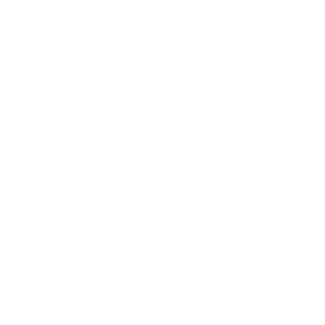 Black Bishop Financial Group logo